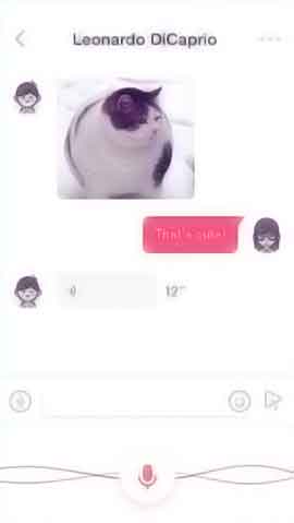 ip攻击器网页版软件程序维护界面